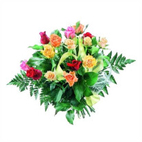 Flowers- colourful roses