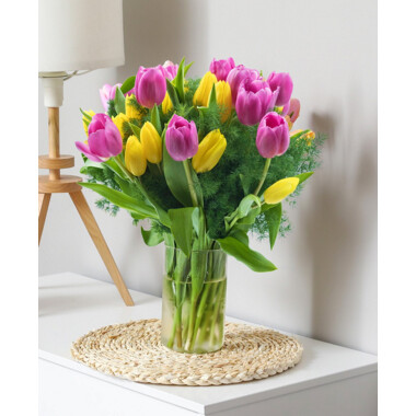 Tulips Multicolor 013