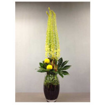 Arrangement of Cut Flowers
