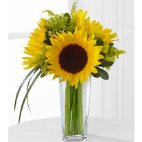 The FTD Sunshine Daydream Bouquet