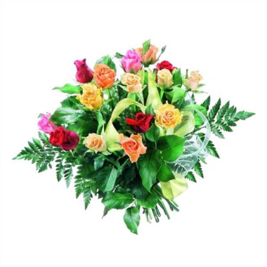 Flowers- colourful roses