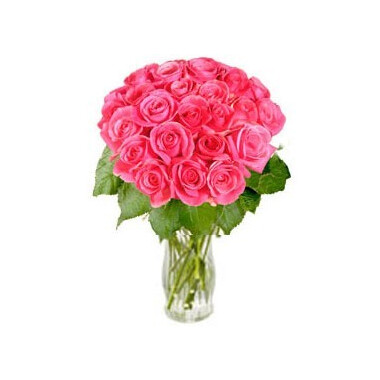 Rosy Reveries