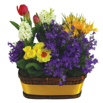 Balcony flowers
