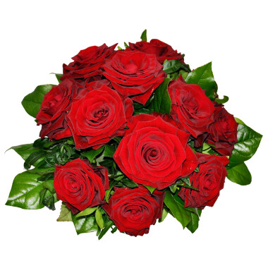 Tantalizing 12 Roses