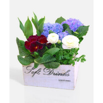 Box with spring plants