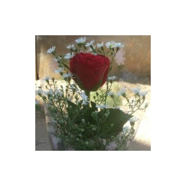 Single Flower