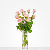 Losse roze rozen