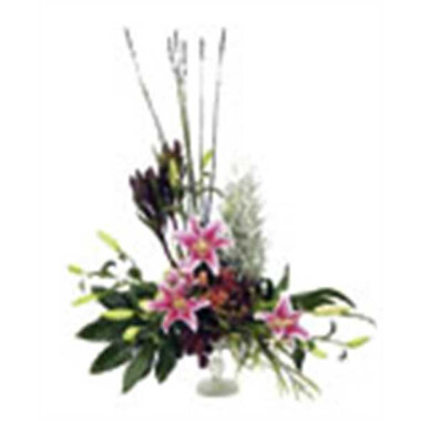 Elegance High Arrangement
