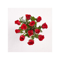 12 roses short stemmed