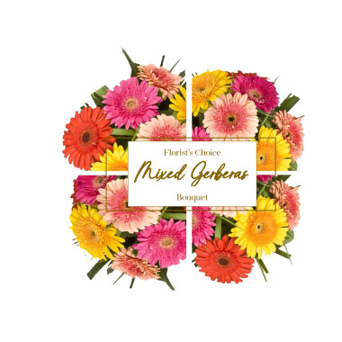 Florist's choice - Gerbera