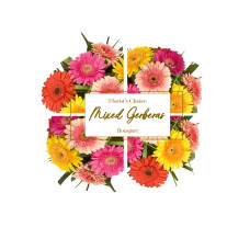 Florist's Choice - Gerberas bouquet